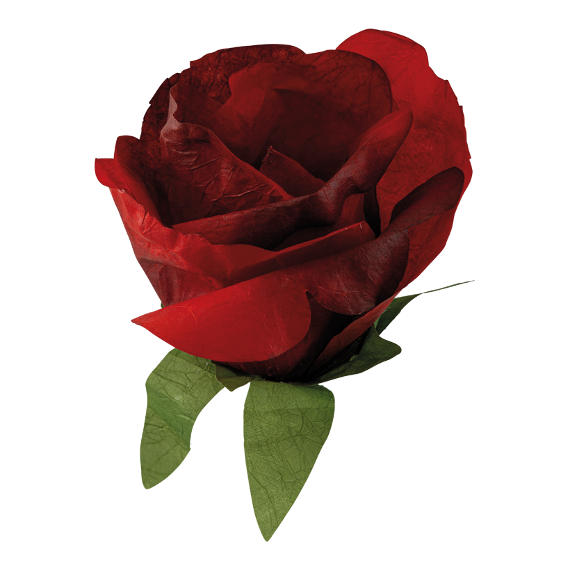 Roshuvud Ø 30cm av papper med kort stjälk