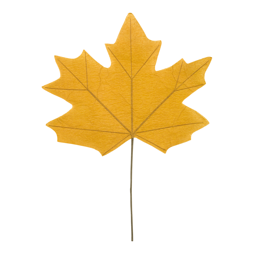 Lönnlöv, 57x40cm Blattgröße: 34x40cm, Stiel: 23cm slut på papper