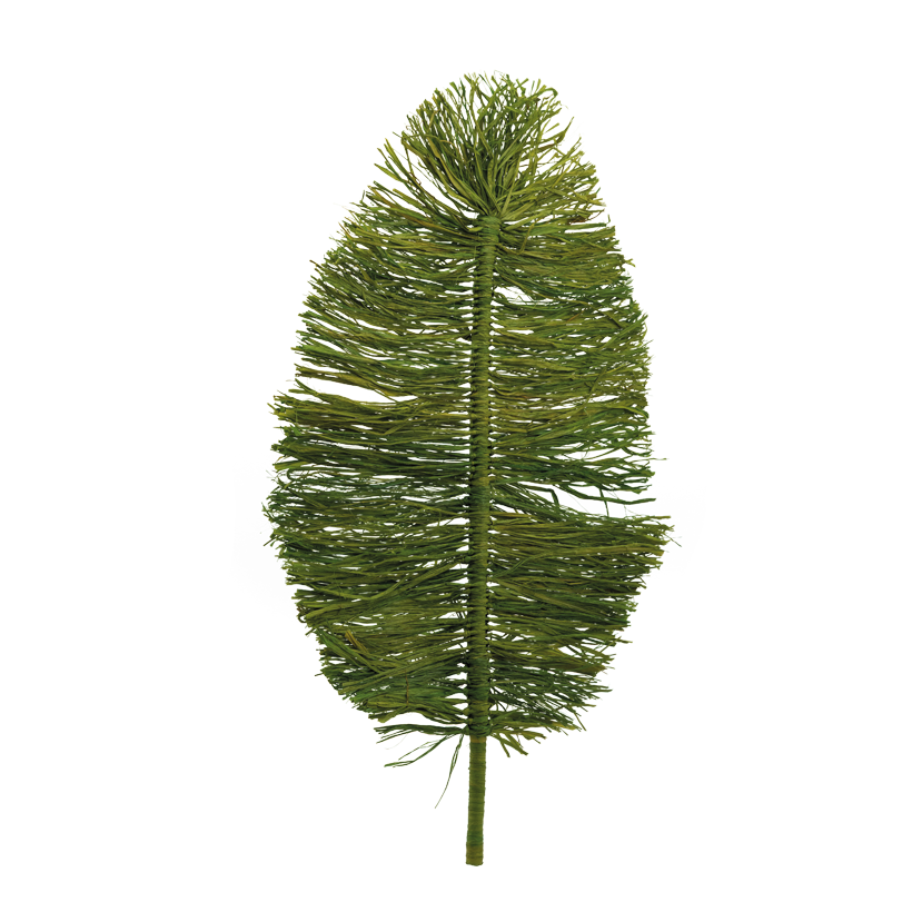 Blad av strå 90x52x2cm Stiel: 15cm av naturmaterial platt