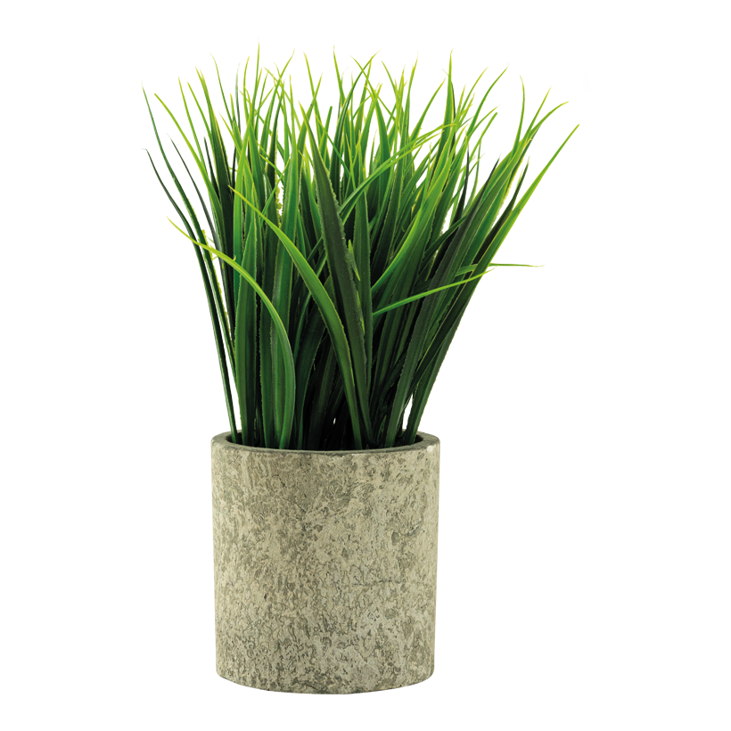 Gräs i kruka 22cm Topf: Ø 7,5cm av plast
