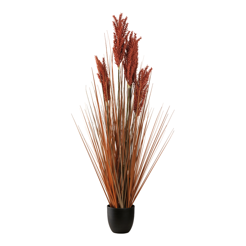 Vass i kruka, 122cm Topf: Ø 15,5cm av plast