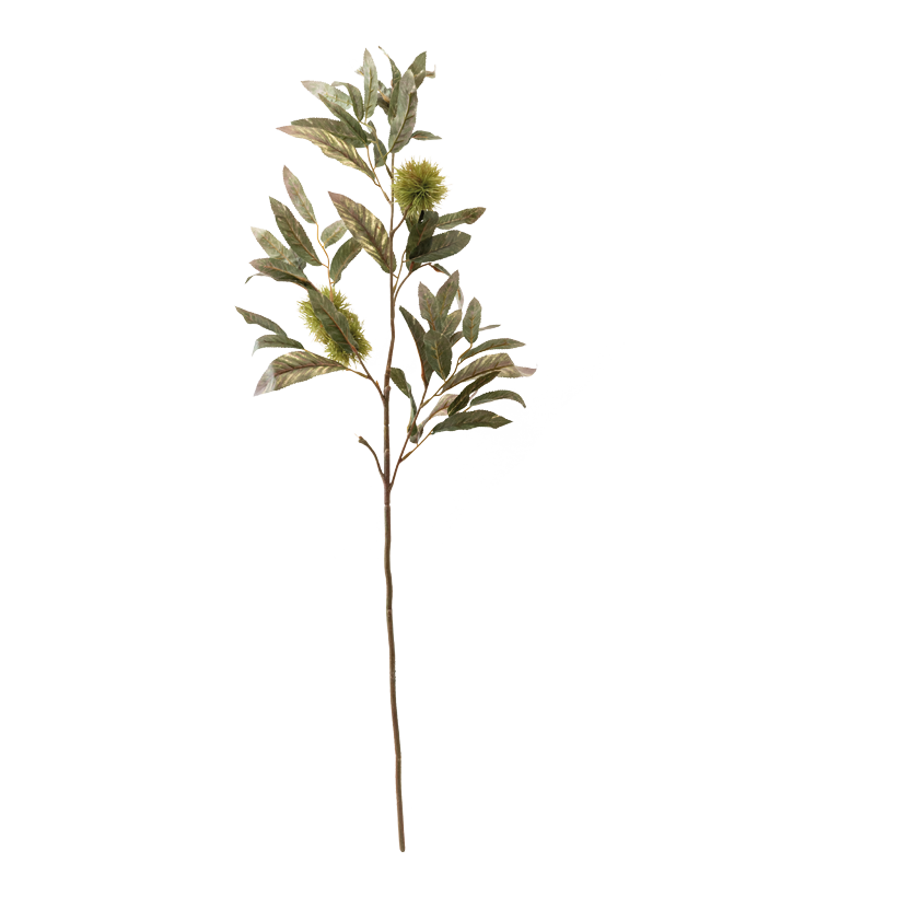 Kastanjekvist 100cm Stiel: 35cm av plast flexibel