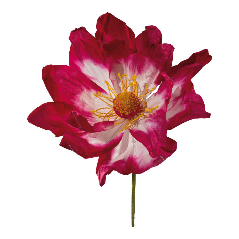 Flower head, 30cm Stiel: 22cm out of paper, flexible