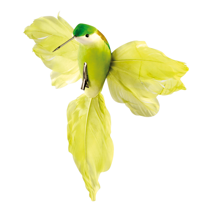 Kolibri med klämma 18x20cm, Frigolit fjädrar