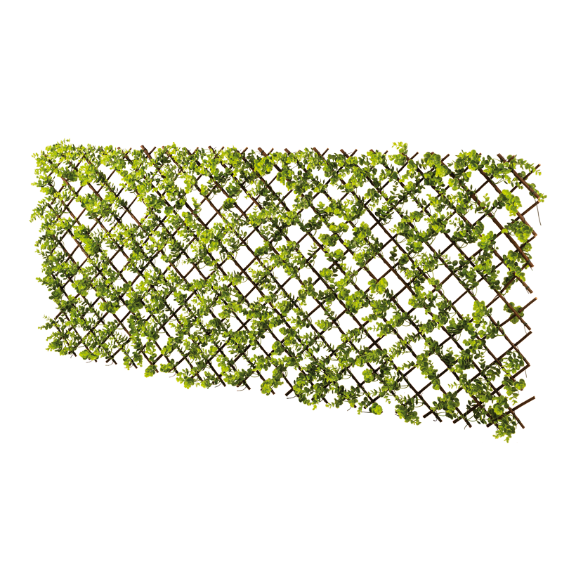 Staket med buxbom, 90x180cm Masche: 7x7cm av pilträ/plast, utdragbar