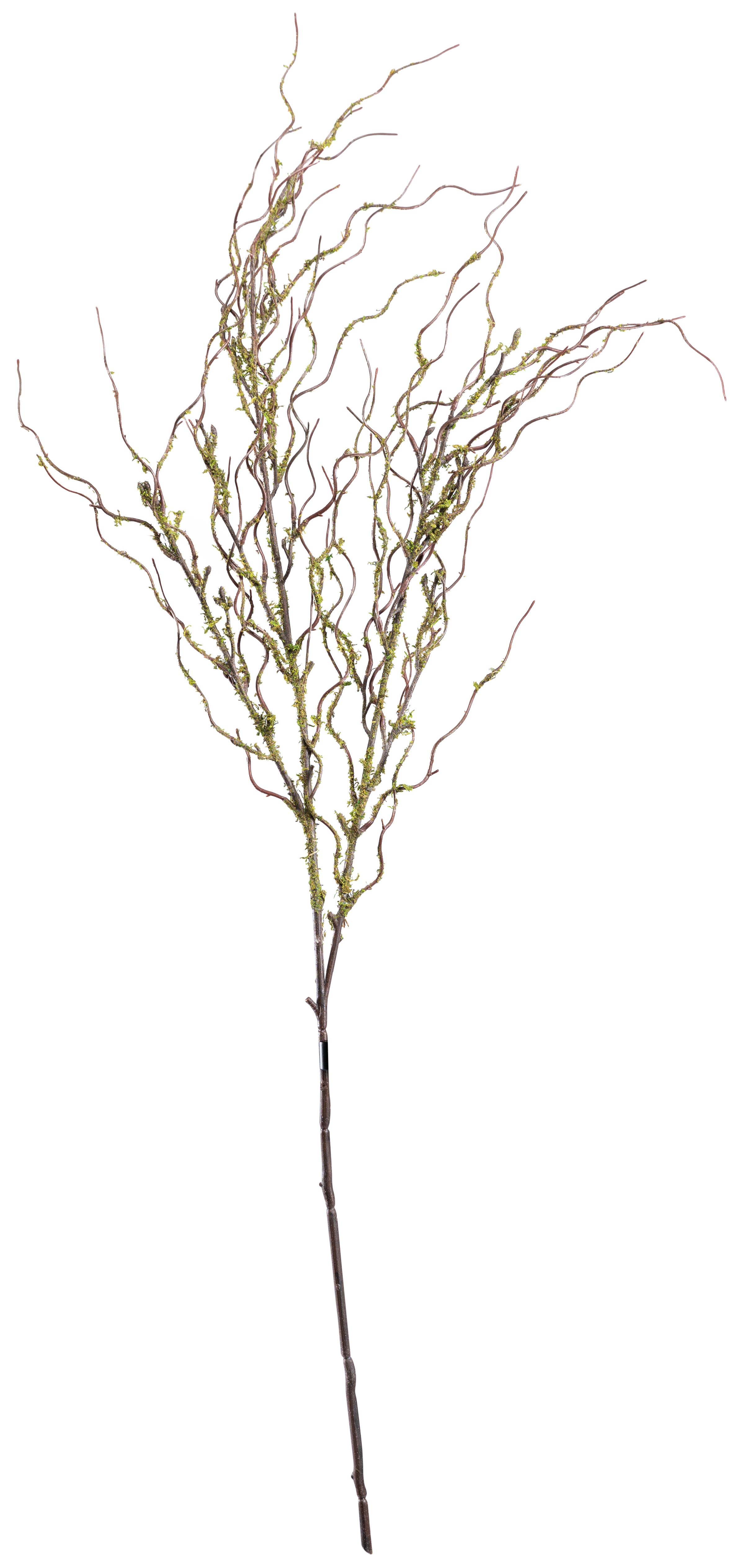 Kvist, 117cm av plast täckt med mossa, flexibel