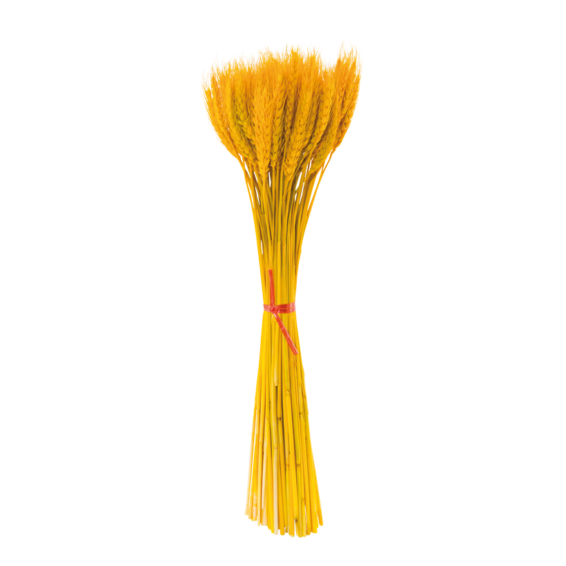 Vete bunt, 50cm ca. 100 stjälkar av naturligt material, blekt
