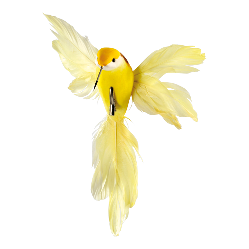 Kolibri med klämma 18x20cm, Frigolit fjädrar