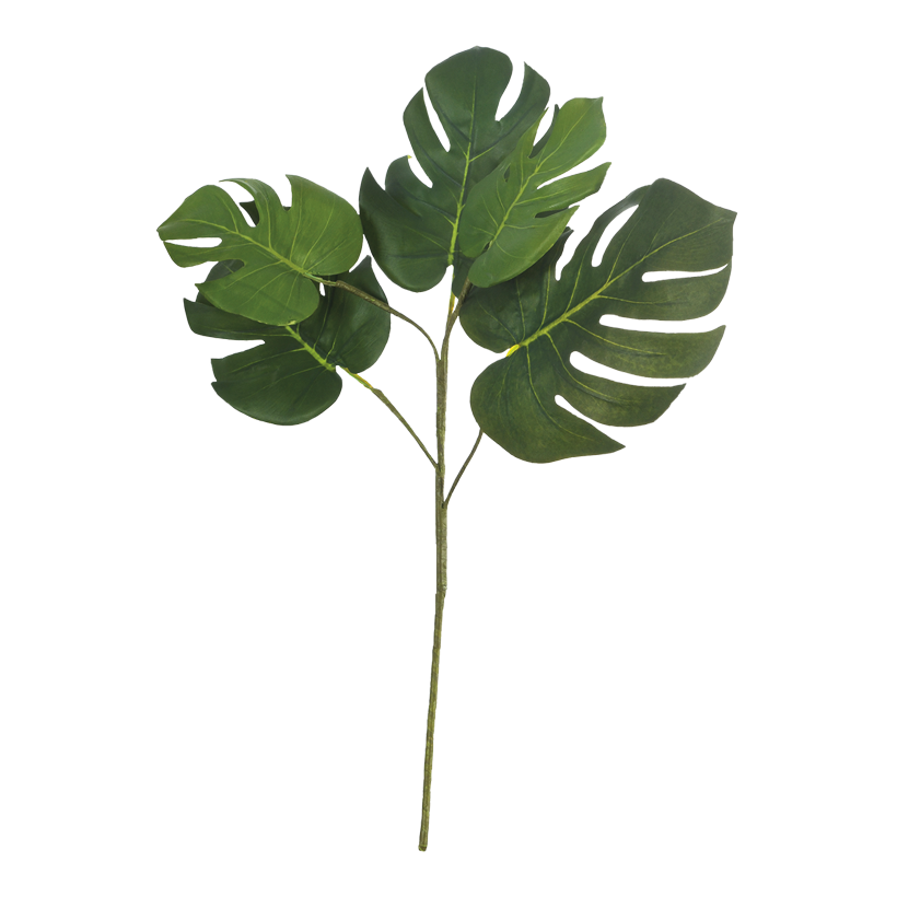 Filodendron spray 60cm 5-sidig