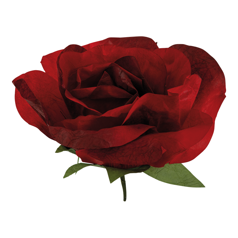 Roshuvud Ø 50cm av papper med kort stjälk