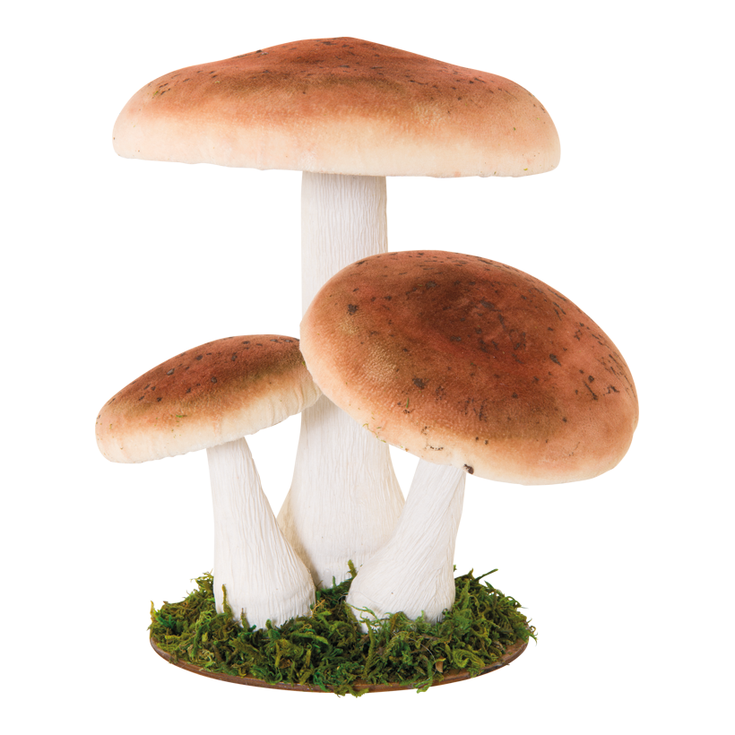 Björksvampar, 25x22x28cm 3-sidig av frigolit