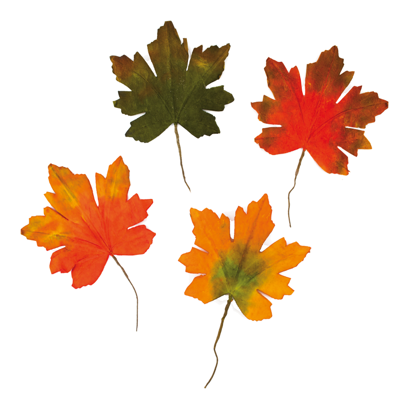 Lönnlöv, 36x30cm set om 4 i polybag