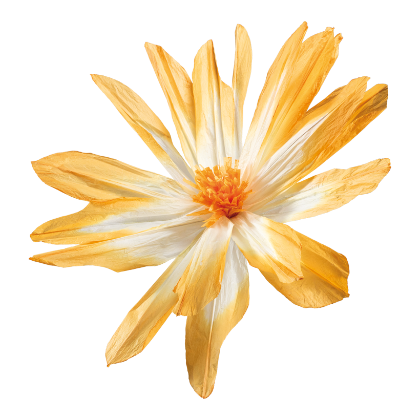 Blomhuvud Ø 120cm Stiel: 34cm av papper flexibel