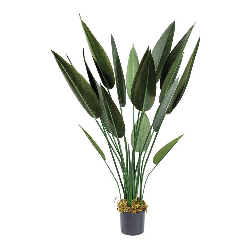 Paradisfågel i kruka 110cm Topf: Ø 15cm 18 blad av plast